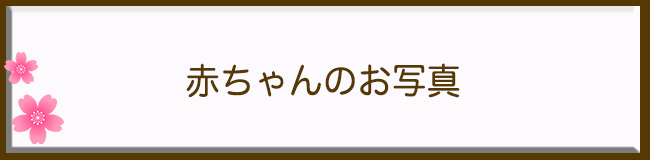 赤ちゃんのお写真